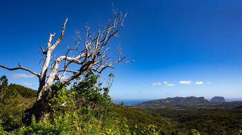 Auf dem Wanderweg zum Machabee Viewpoint