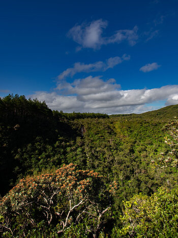 Wandern auf dem Machabee Trail