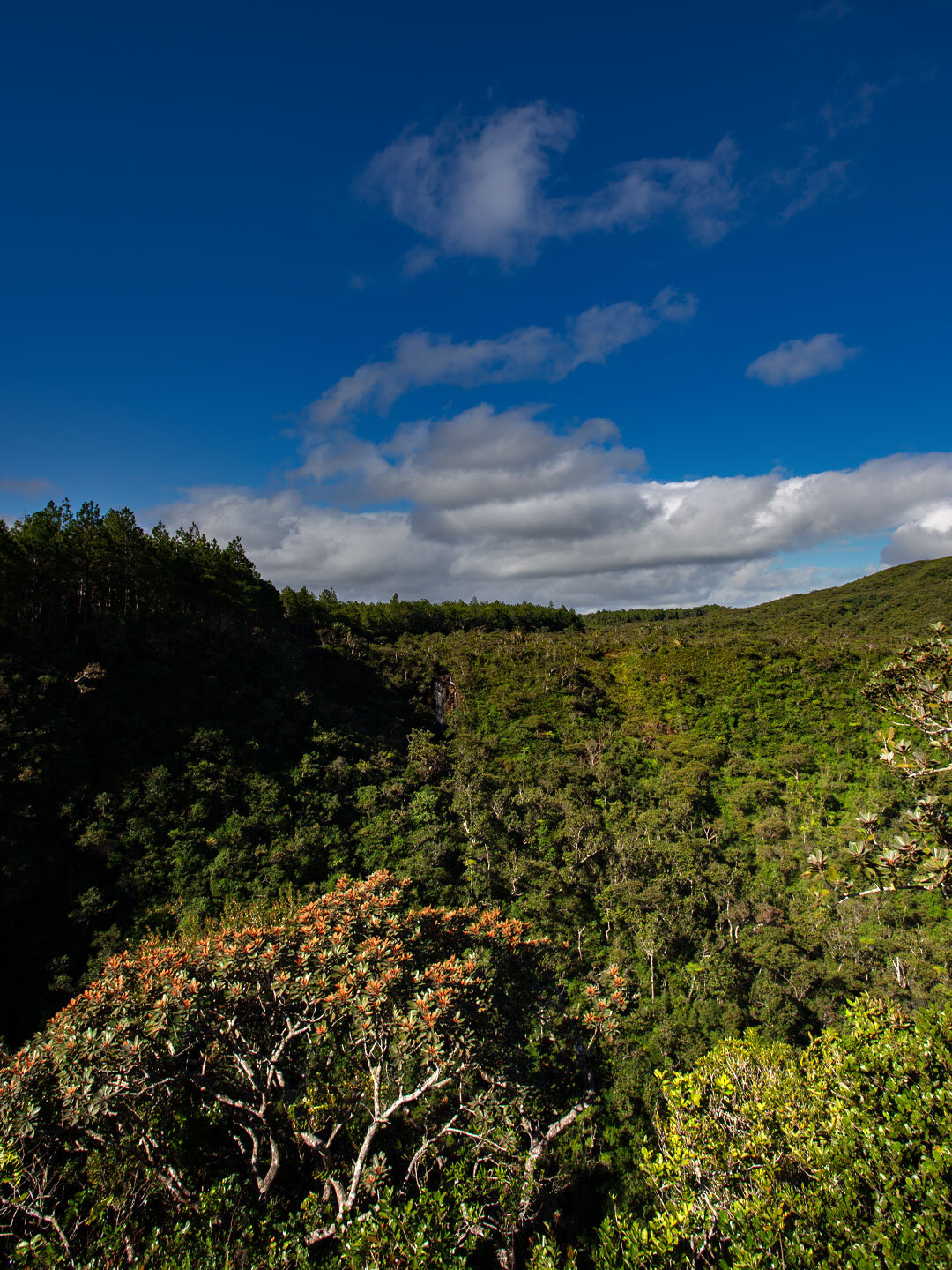 Wandern auf dem Machabee Trail Wandern auf dem Machabee Trail