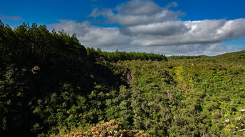 Wandern am Machabee Trail