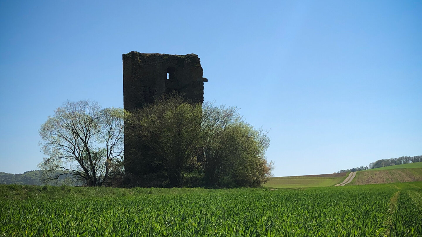 Seeburg: Historische Ruine und Wasserburg