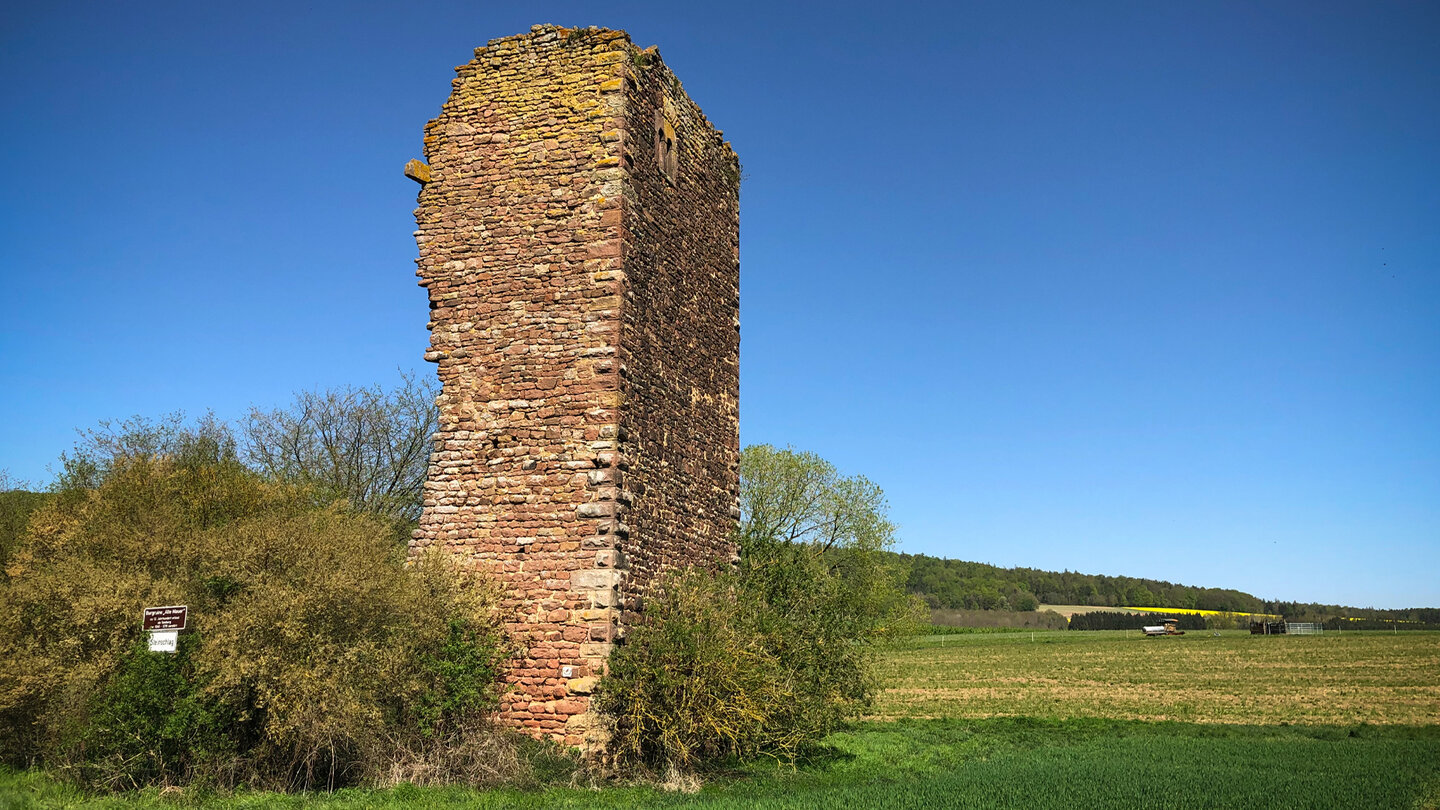 Ruine Alte Mauer oder auch Seeburg