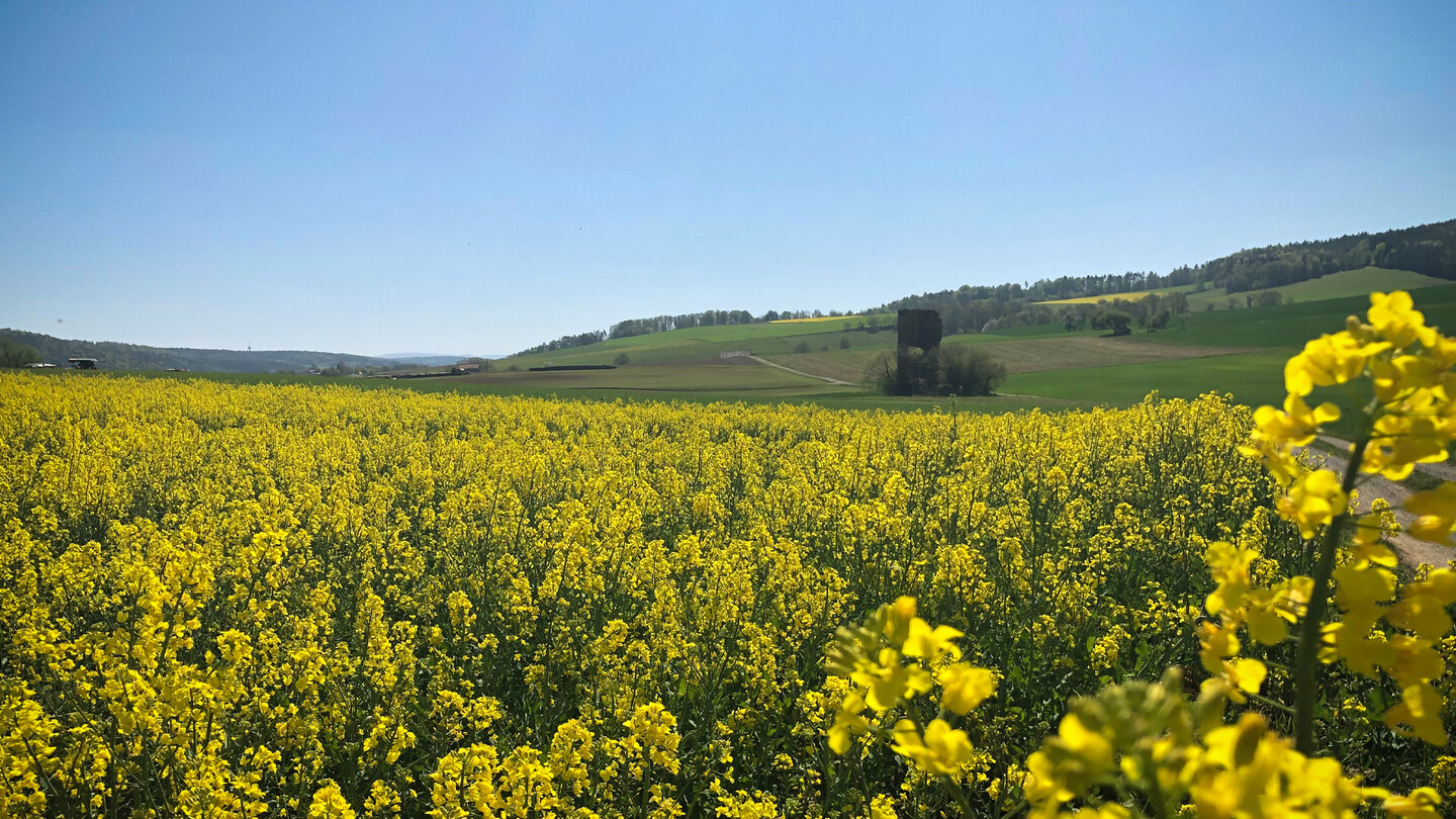 Blick auf die Seeburg