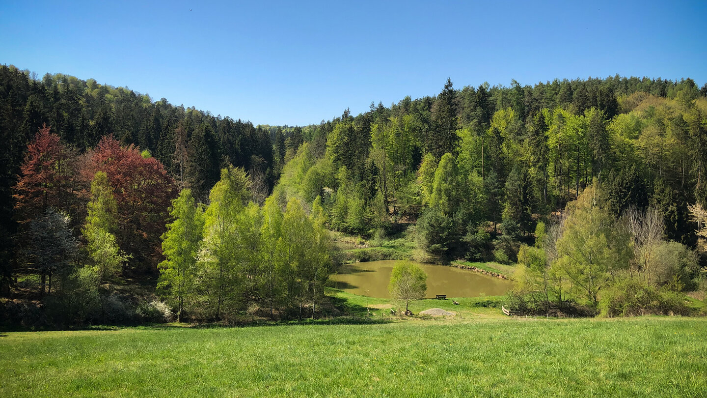 Teiche am Waldrand