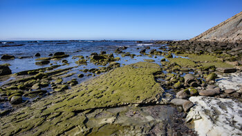rutschige und glitschige Felsformationen des Flysch del Estrecho bei Tarifa