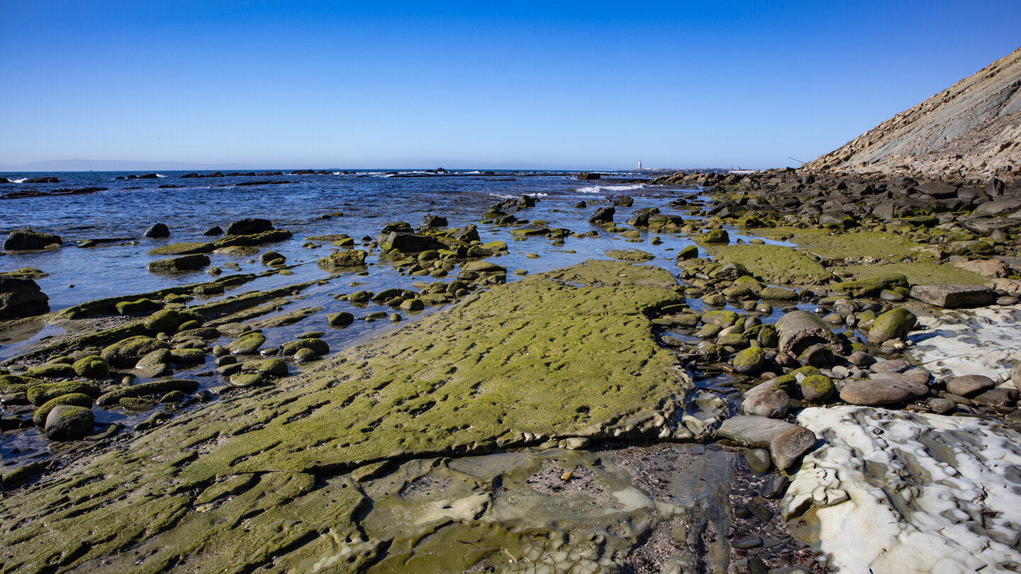rutschige und glitschige Felsformationen des Flysch del Estrecho bei Tarifa