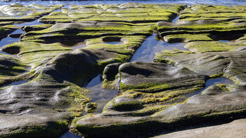 Nur bei Ebbe sind alle Felsenlinien sichtbar