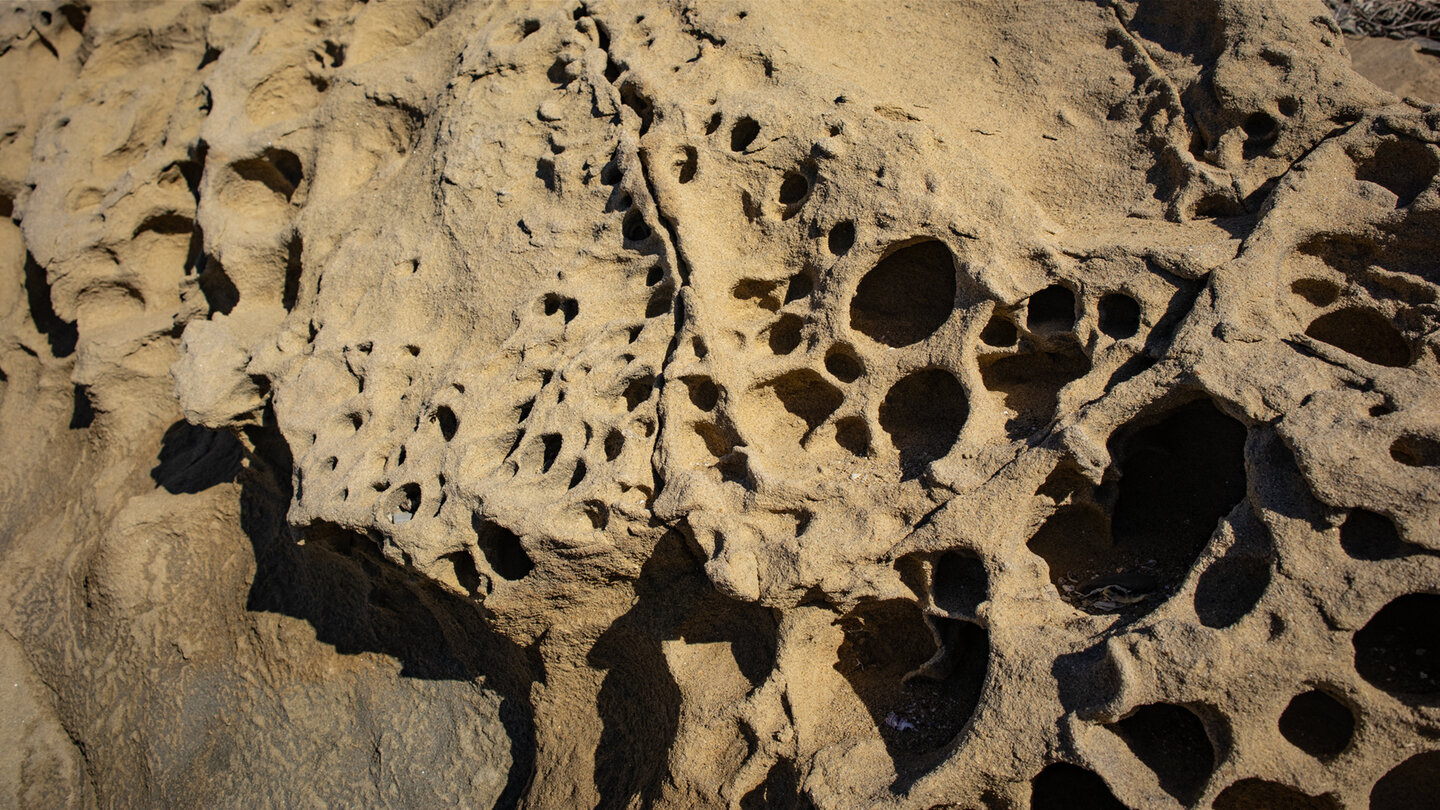 Flysch del Estrecho, dessen Kalkstein durch Erosion und Durchlöcherung geprägt ist