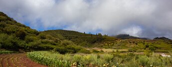 Ausblicke über Mais- und Kartoffelfelder entlang der Wanderung