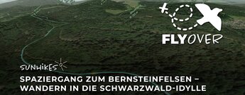Spaziergang zum Bernsteinfelsen – Flyover