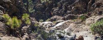 Wandern entlang des atemberaubenden Barranco de las Hiedras