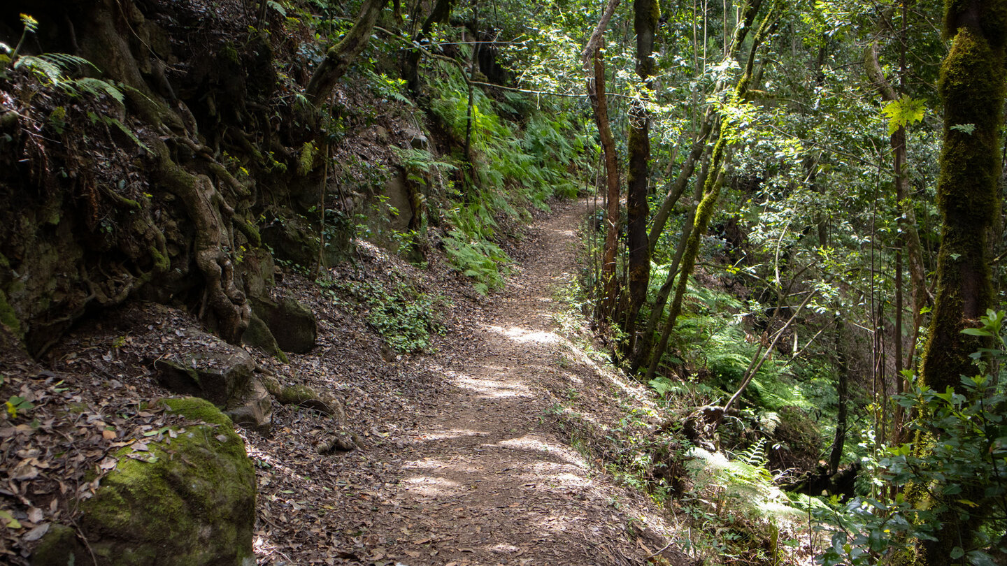 Wanderweg durch die Schlucht Barranco del Cedro