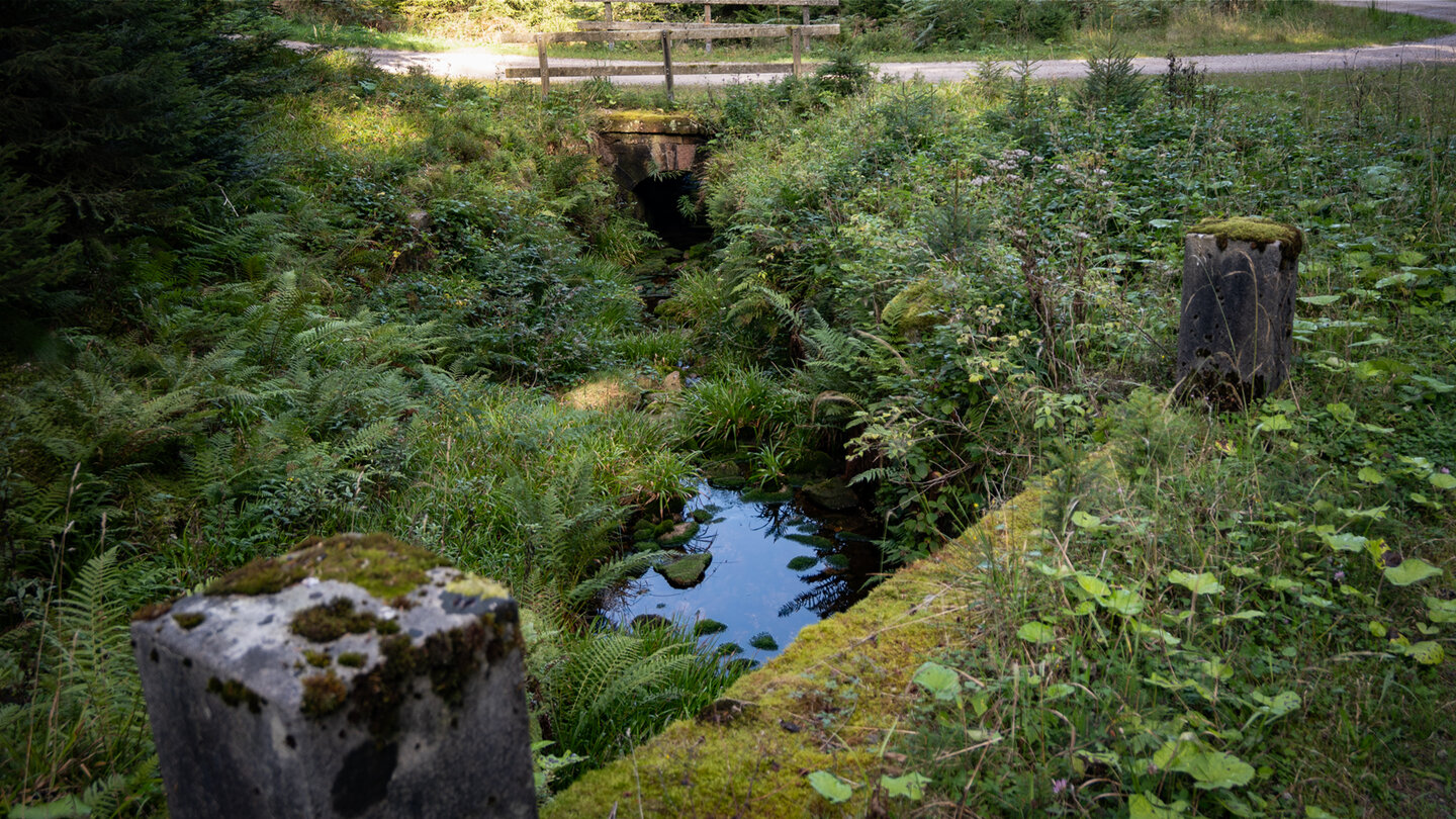 Bachlauf am Seegraben