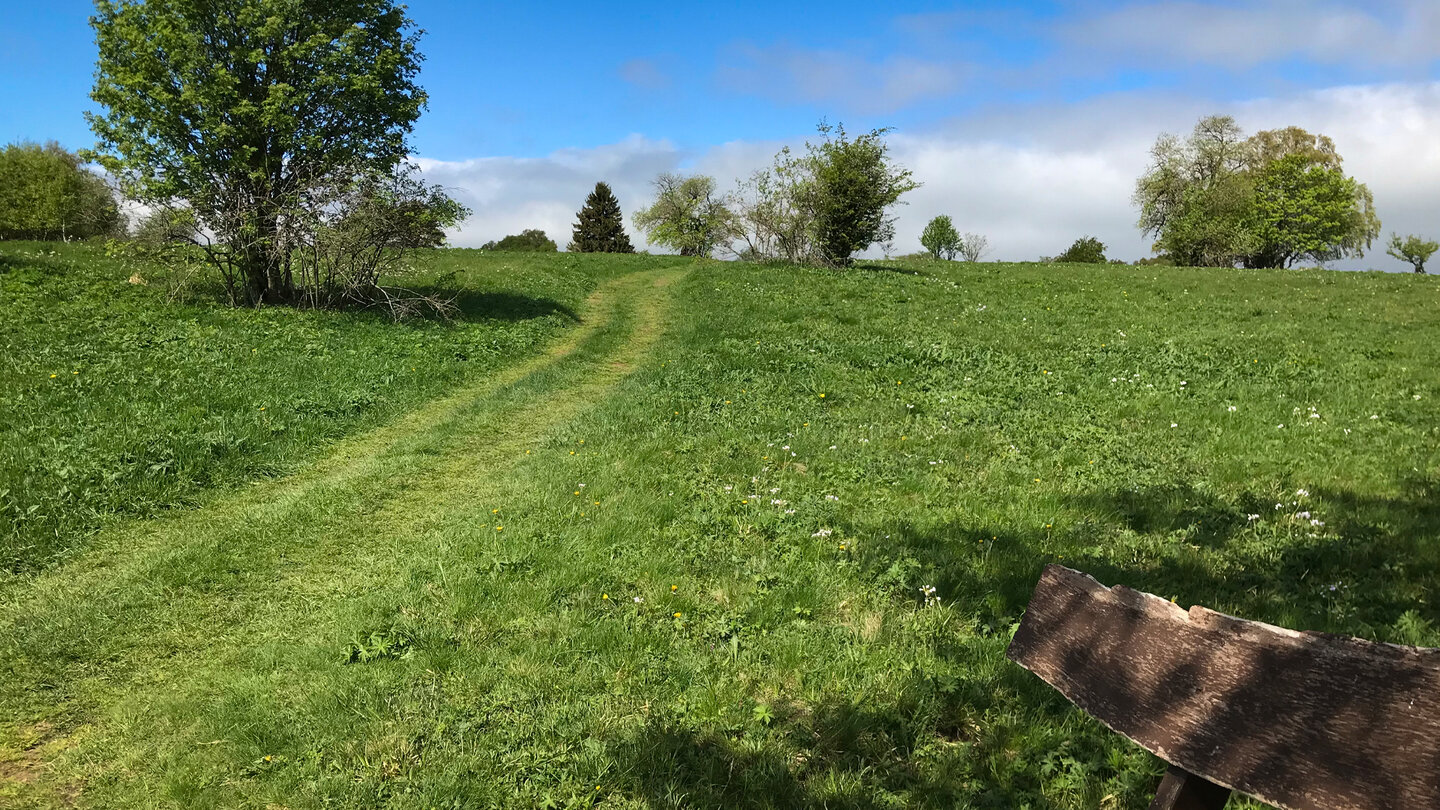 die Route geht idyllisch über die Wiesen der Hohen Rhön die Wiesen der Hohen Rhön
