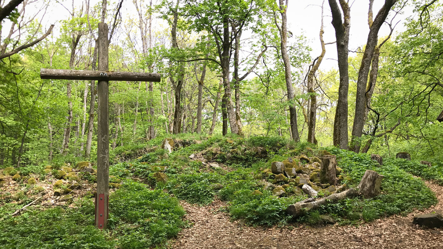überwucherte Ruine der St. Gangolfskapelle Ruine der St. Gangolfskapelle