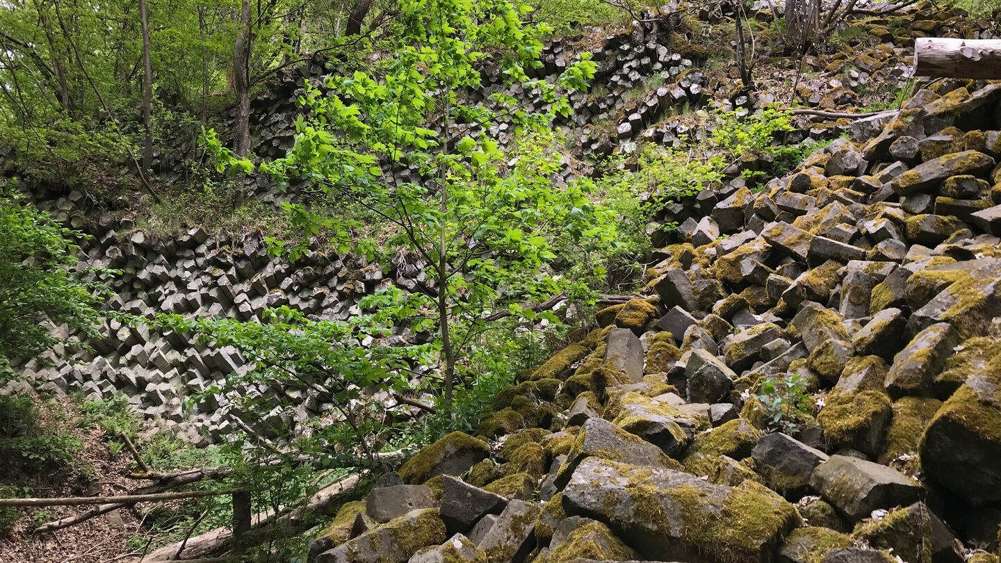 Basaltblockhalde am Gangolfsberg beeindruckt durch die Geometrie der Basaltblöcke Basaltblockhalde am Gangolfsberg