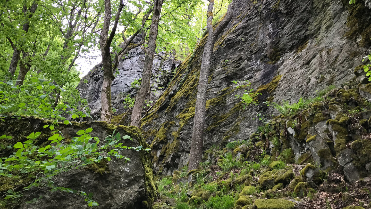 die steilen Felswände um den Teufelskeller Felswände um den Teufelskeller