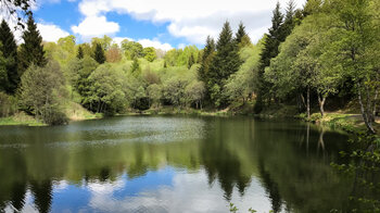 Basaltsee bei Oberelsbach