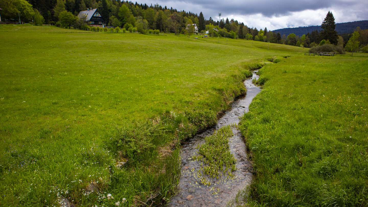 der Schwarzenbach durchfließt Herrenwies der Schwarzenbach durchfließt Herrenwies