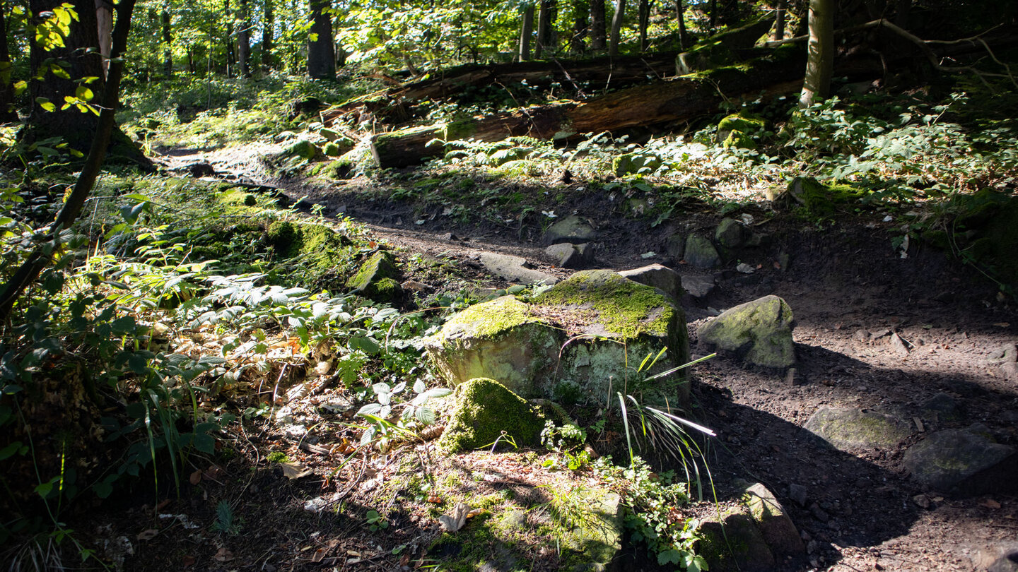 Wanderweg auf den Merkur
