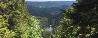 Blick von der Schurmseehöhe auf den Schurmsee