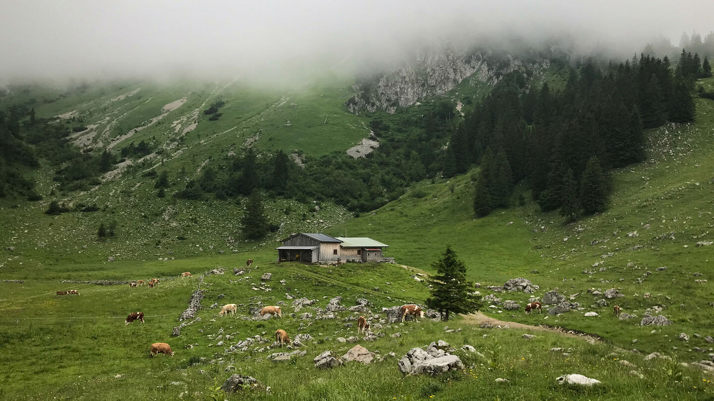 wolkenverhangene Alm am Brecherspitz eine wolkenverhangene Alm am Brecherspitz