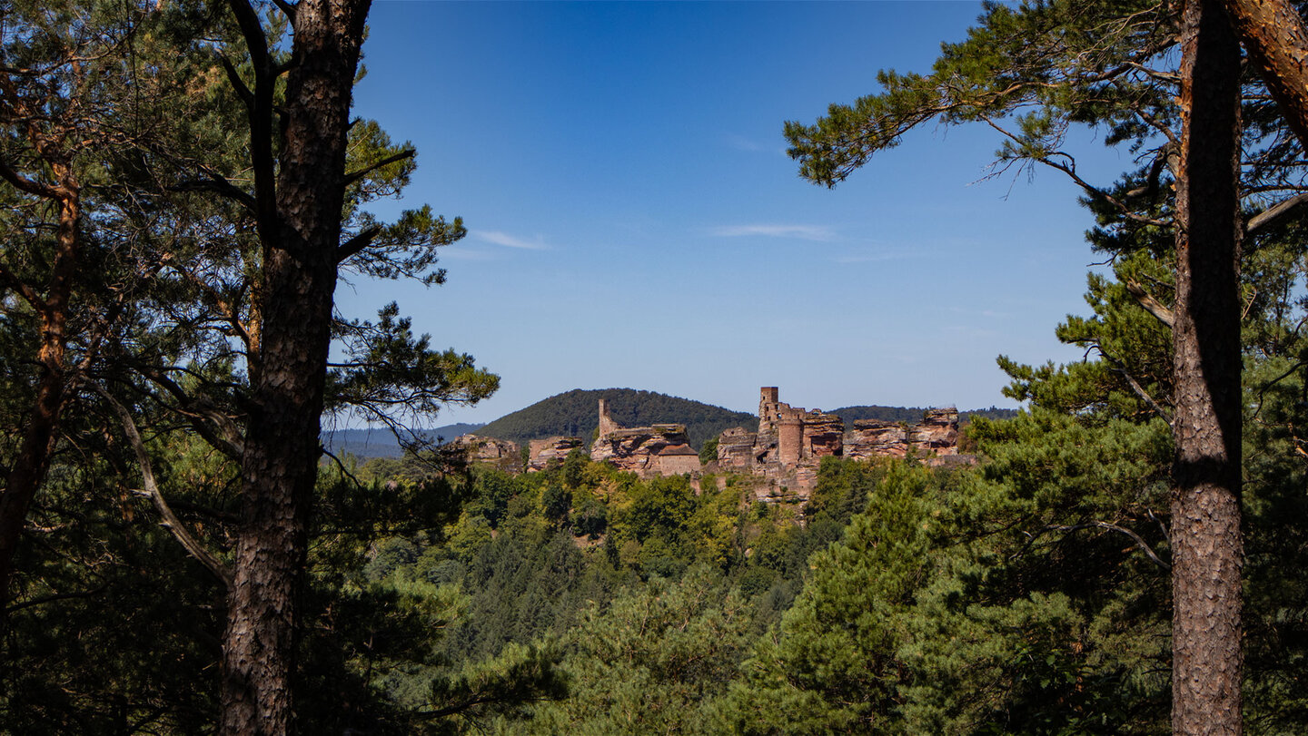 Burgengruppe Altdahn mit Ruinen und Burgturm auf schrofem Buntsandsteinfelsen, von Kiefern umrahmt, klarer Himmel über dem Pfälzerwald