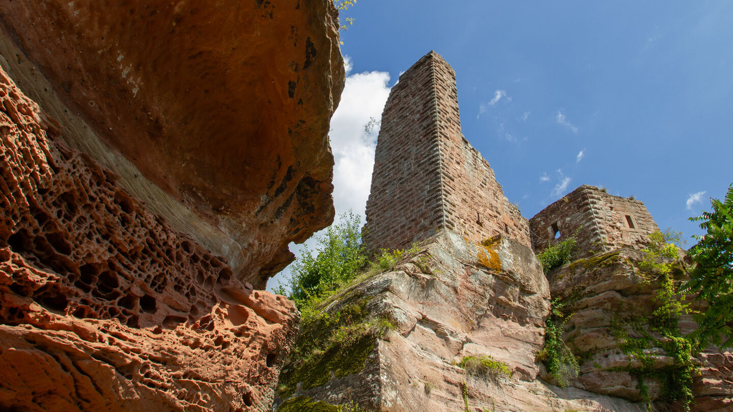 Rötlicher Buntsandstein mit detailreicher Wabenverwitterung in der Froschperspektive, Burgturm der Dahner Burgengruppe und blauer Himmel darüber