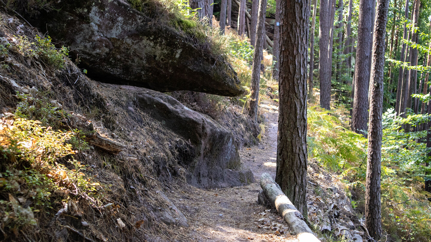 Schmaler Pfad zum Hahnfels – naturbelassener Wegabschnitt auf der Hahnfels-Tour