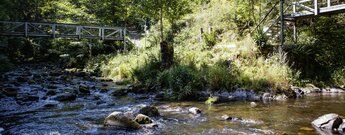 die Brücken am Zusammenfluss der Wutach und der Haslach
