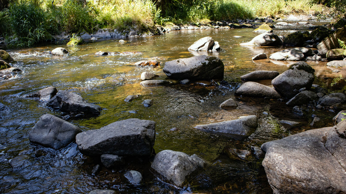 noch fließt das Wasser ruhig am Zusammenfluss der Wutach und der Haslach