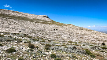 Cerro del Sol - Sierra de Tejeda in Andalusien