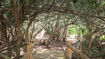 Area Creativa Cuadros - Erholungsgebiet Adelfal im Naturpark Sierra Mágina