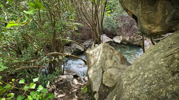 wilde Bachlauf in der Schluchr des Rio Cuadros bei Bedmar im Naturpark Sierra Mágina