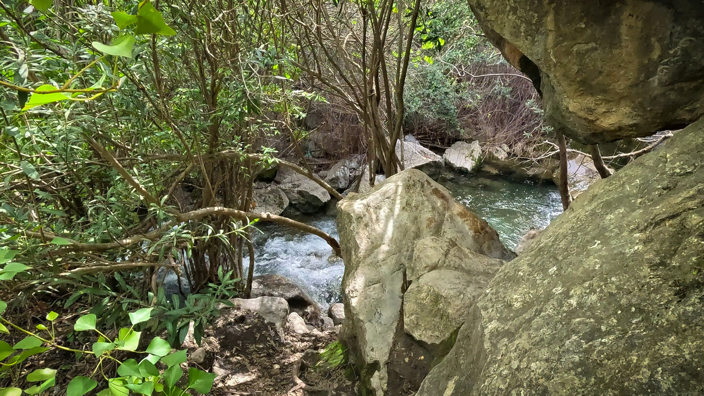wilde Bachlauf in der Schluchr des Rio Cuadros bei Bedmar im Naturpark Sierra Mágina