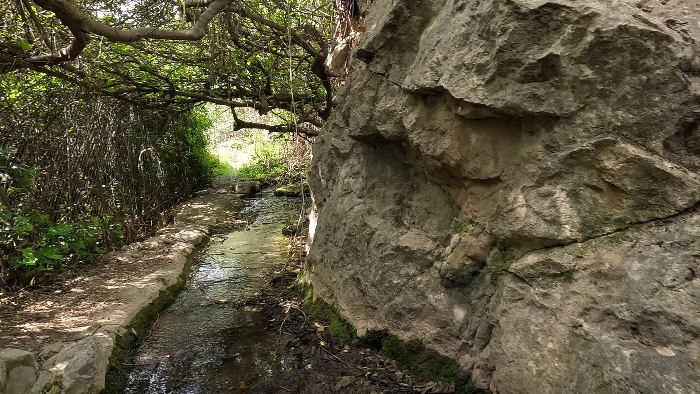 Felswände des Wasserkanals am Rio Cuadros bei Bedmar in Andalusien