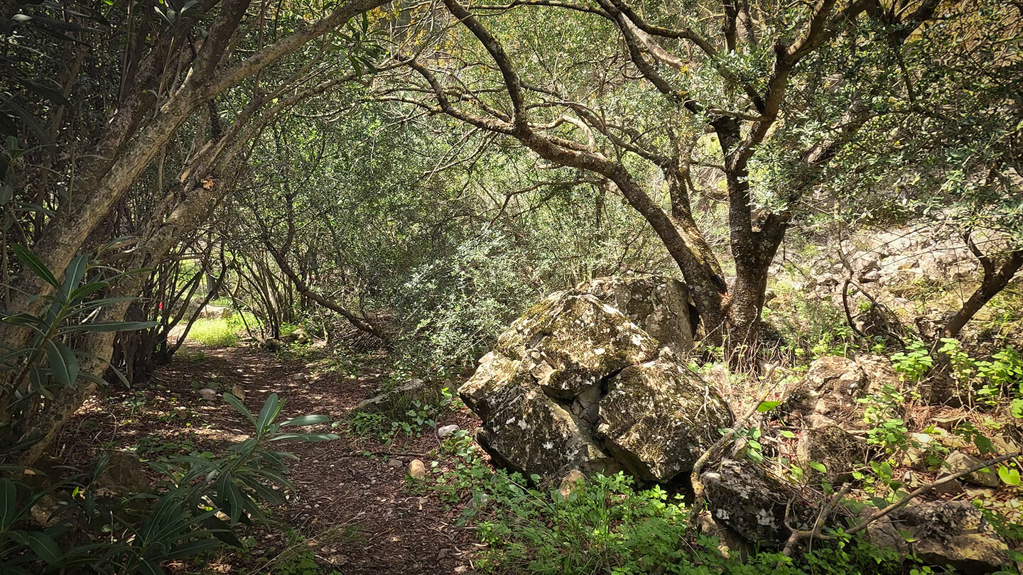 Wanderweg Sendero del Adelfal in der Schlucht des Rio Cuadros bei Bedmar
