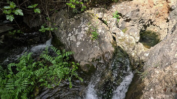 Quelle des Rio Cuadros in Andalusien