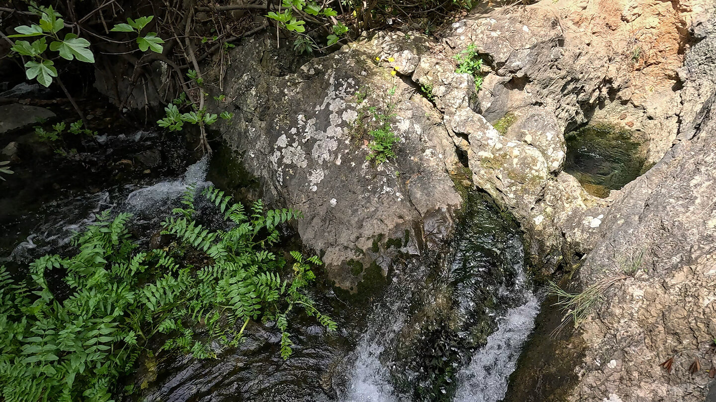 Quelle des Rio Cuadros in Andalusien