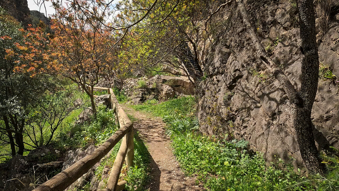 Wanderung am Sendero del Adelfal am Rio Cuadros bei Bedmar