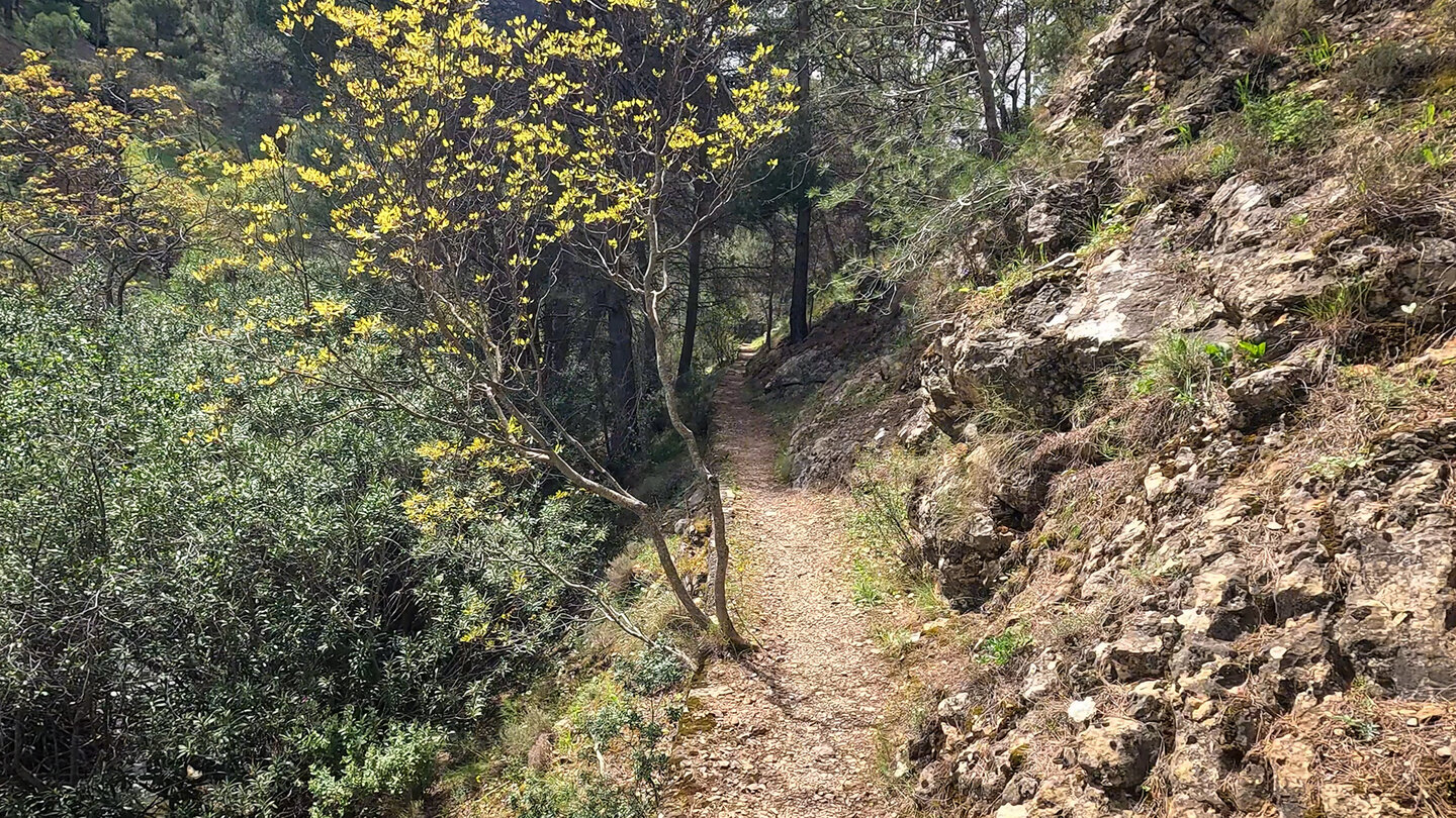 Wanderpfad am Rio Cuadros bei Bedmar