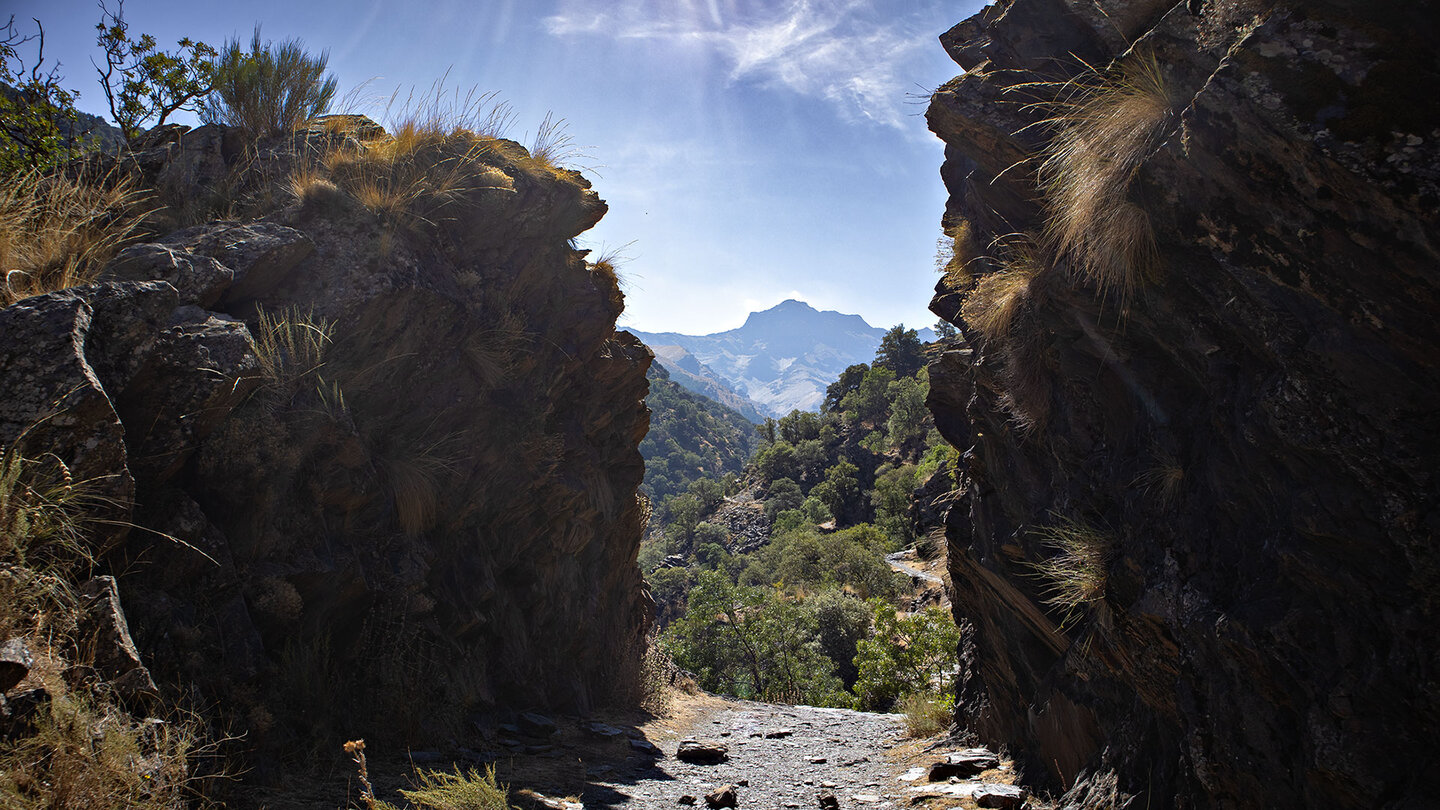Blick auf den Alcazaba vom Wanderweg Vereda de la Estrella Blick auf den Alcazaba vom Wanderweg Vereda de la Estrella