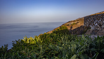 Bananenplantagen an der Westküste der Insel La Palma