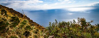 GR 130 entlang der Westküste La Palmas