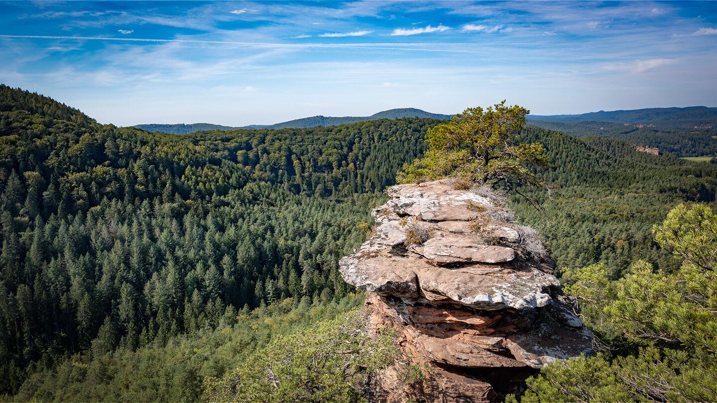der Buchkammerfelsen erhebt sich über dem Pfälzerwald Buchkammerfelsen im Pfälzerwald