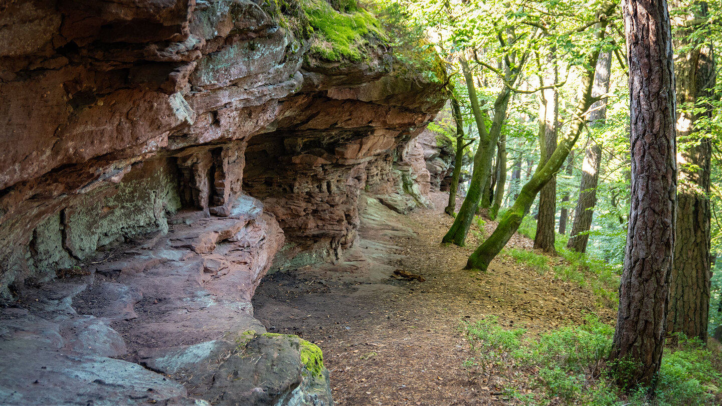 Wanderweg entlang des langezogenen Buntsandsteinriffs Buchkammerfelsen Wanderweg am Buchkammerfelsen