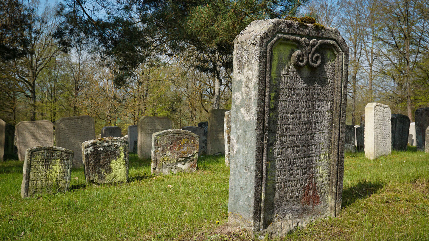 der Judenfriedhof Kleinbardorf ist der größte jüdische Friedhof Bayerns Judenfriedhof Kleinbardorf – größter jüdische Friedhof Bayerns