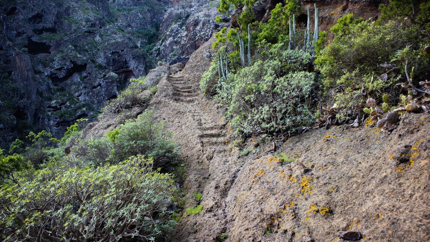 Wegpassage mit in den Fels geschlagenen Stufen am Risco-Steig
