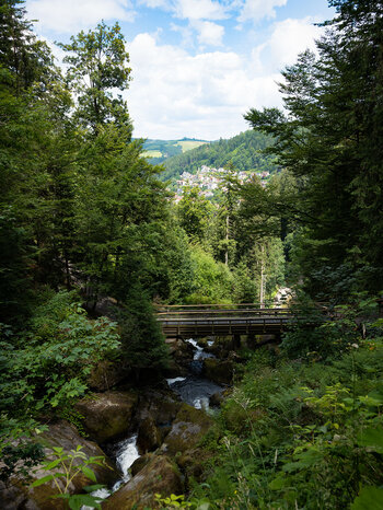 Blick über die Triberger Wasserfälle bis hin nach Triberg im Schwarzwald