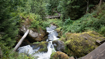 Blick über die Granitstufen an den Triberger Wasserfällen